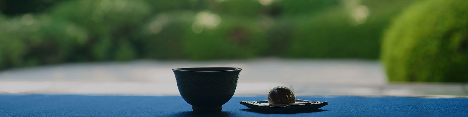 提供プログラム