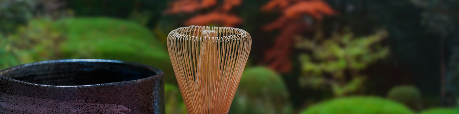 個人プログラム